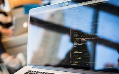 Servicios web total por 1 año