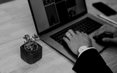 Asesoría y análisis para sitios web.