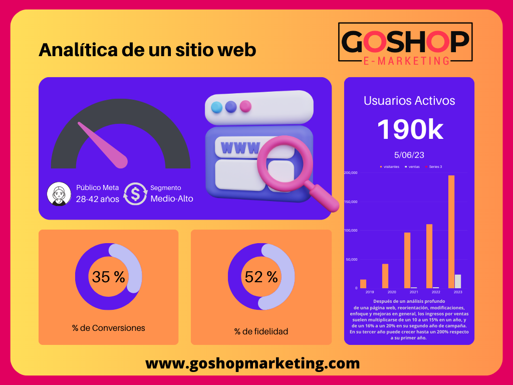 analitica de un sitio web