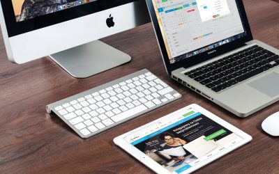 Desarrollador de páginas web